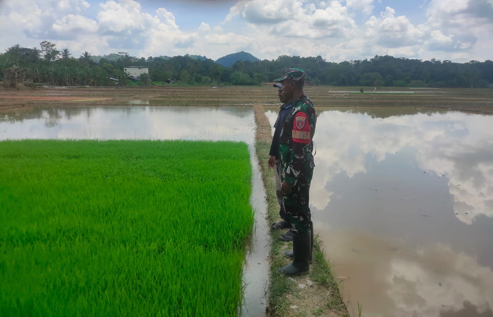 Babinsa Bersama Petani Lakukan Pengecekan Penyemaian Bibit Tanaman Padi