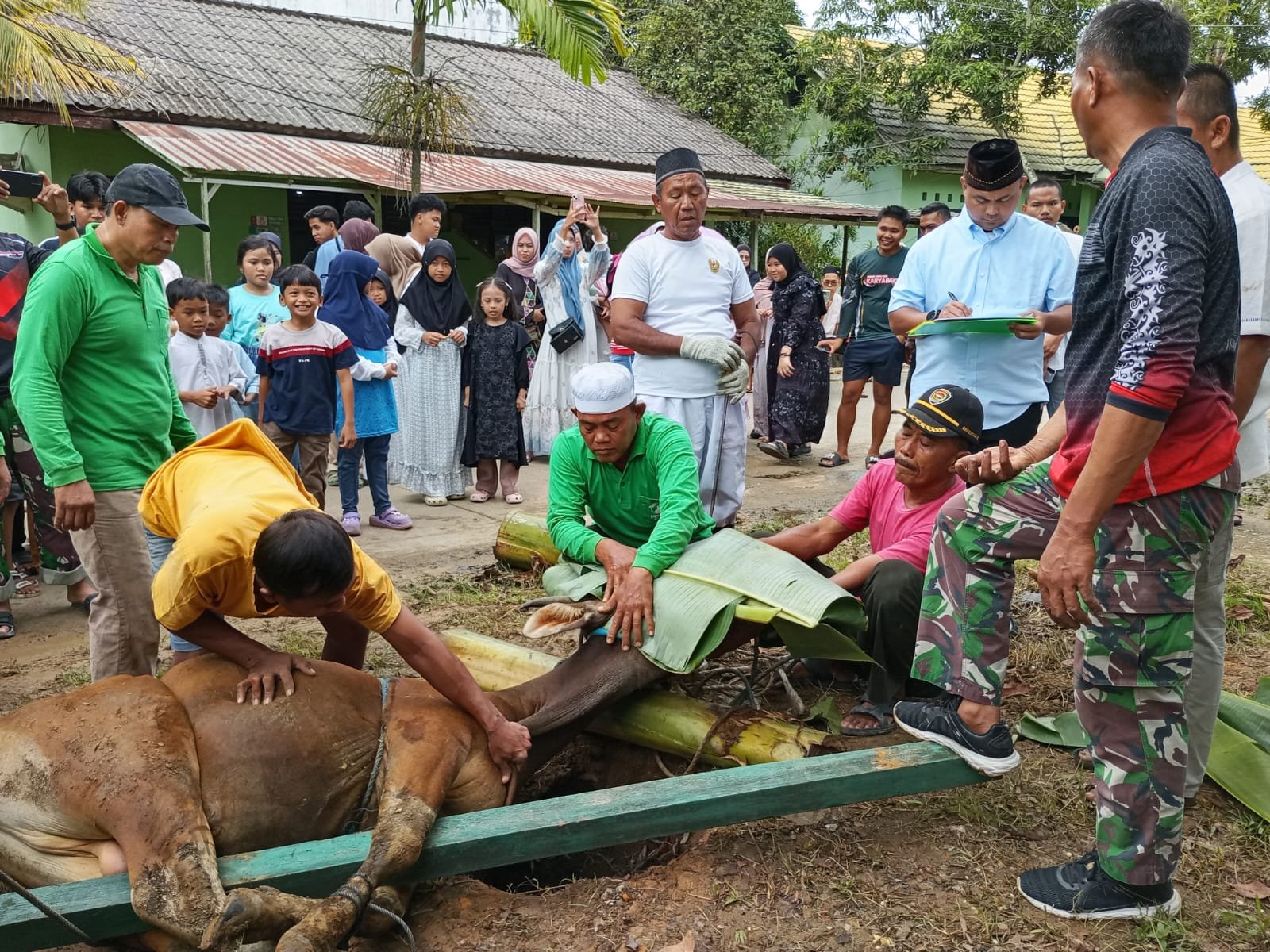Rayakan Idul Adha 1447 H, Kodim 0906/Kkr Lakukan Pemotongan Hewan Qurban Rayakan Idul Adha 1447 H, Kodim 0906/Kkr Lakukan Pemotongan Hewan Qurban