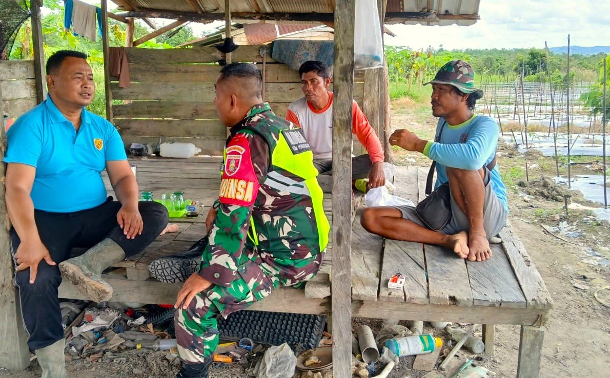 Melalui Komsos, Babinsa Bukit Jering Dorong Semangat Petani Tingkatkan Produksi Pertanian