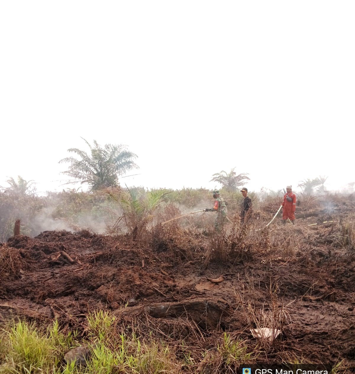Bersatu Lawan Api Babinsa Bersama BPBD Dan Manggala Agni Bahu Membahu Padamkan Karhutla