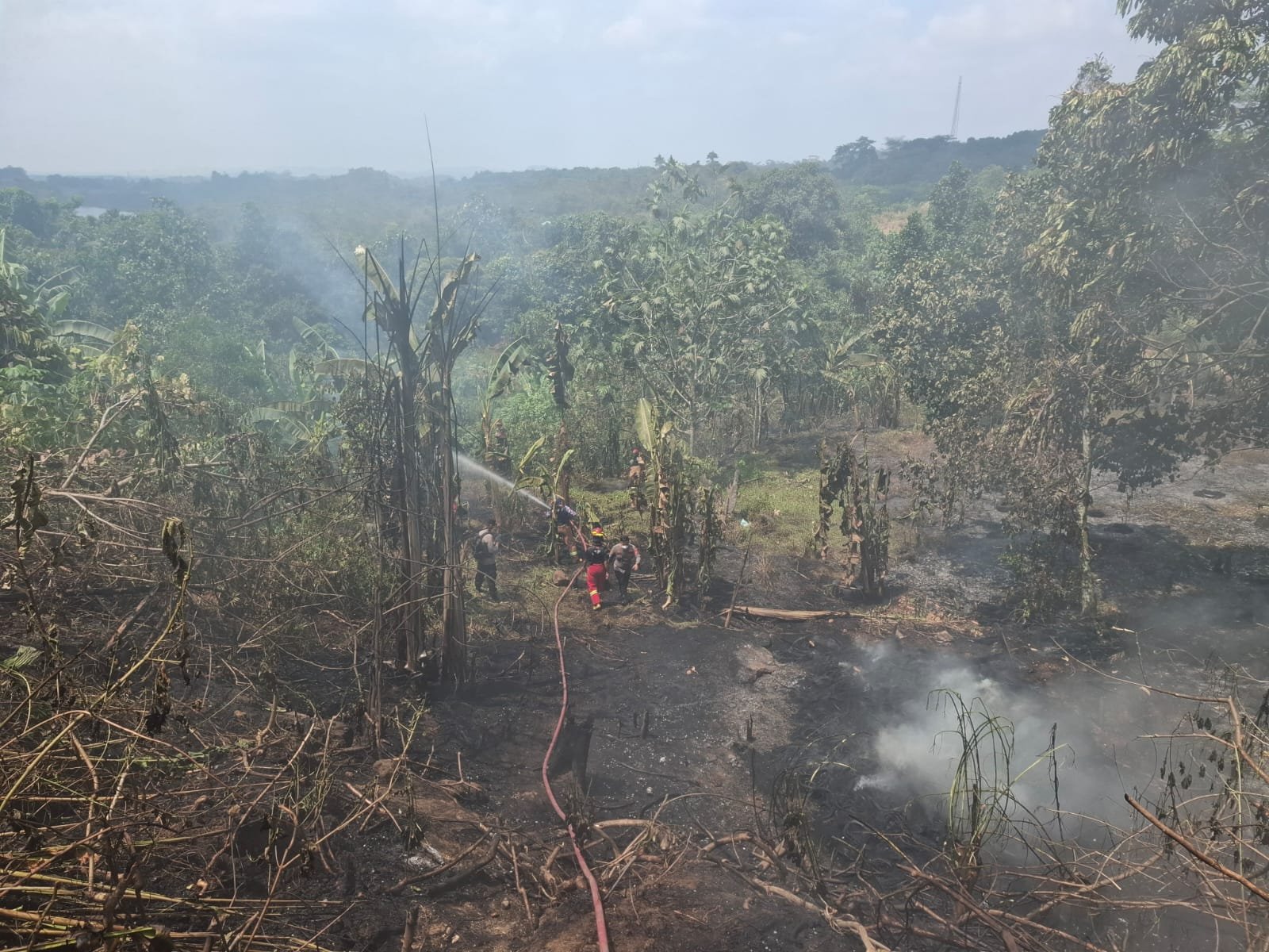 Tim Gabungan Gerak Cepat Padamkan Kebakaran Demi Cegah Penyebaran Api