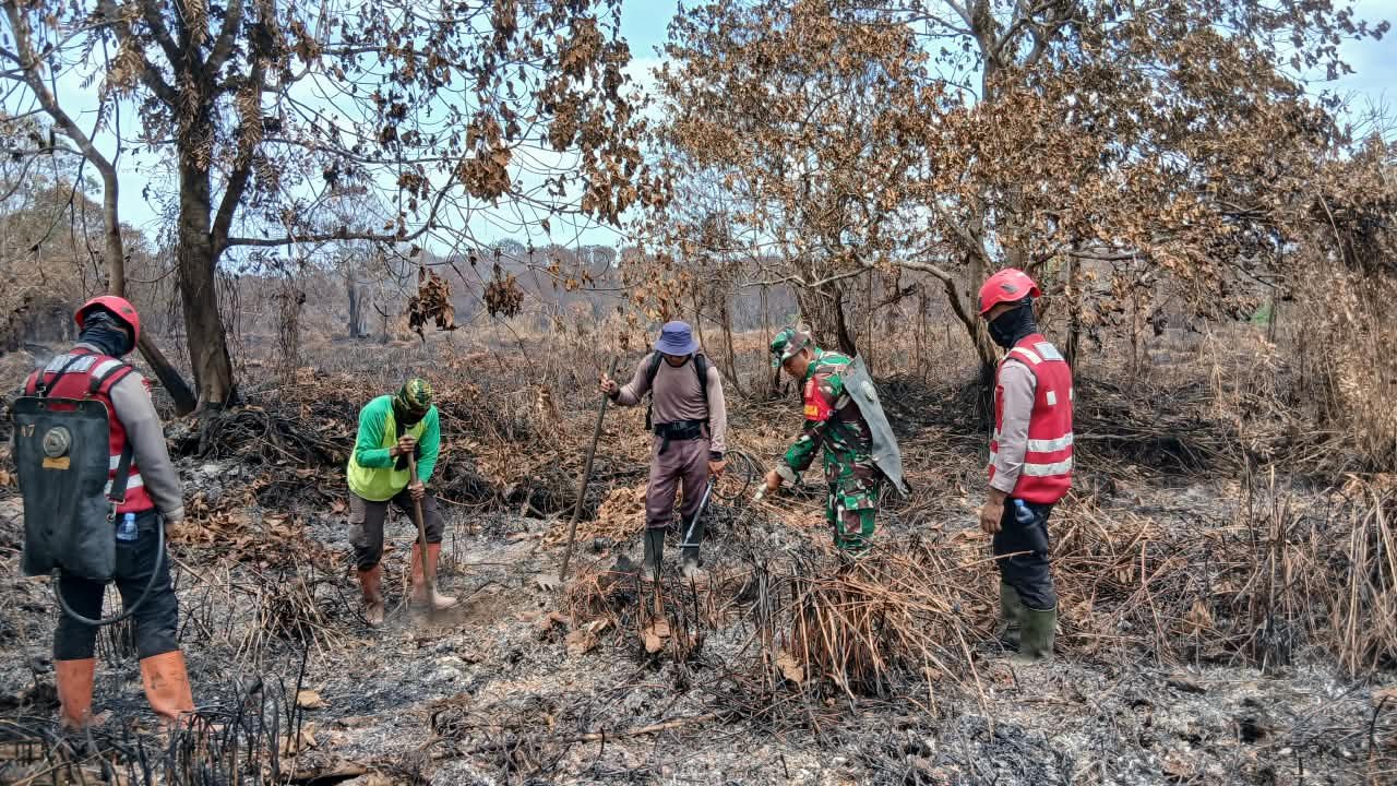 Cegah Kebakaran Susulan, Tim Gabungan Intensifkan Pendinginan Area Padam Cegah Kebakaran Susulan, Tim Gabungan Intensifkan Pendinginan Area Padam