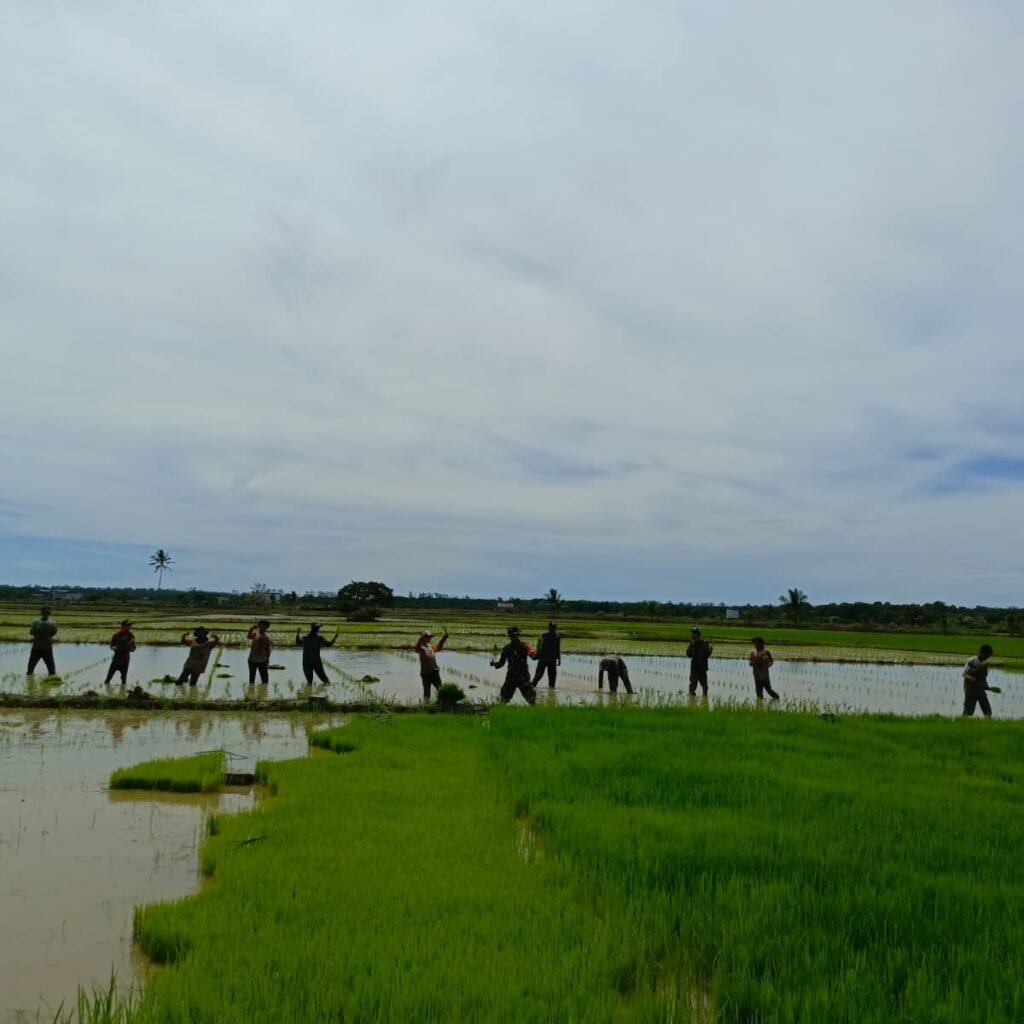 WhatsApp Image 2025-12-12 at 20.34.12