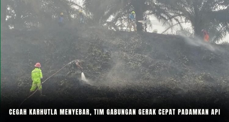 foto website (9)