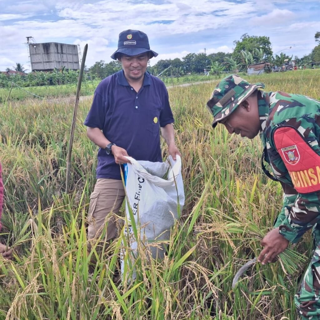 WhatsApp Image 2025-12-20 at 17.24.34