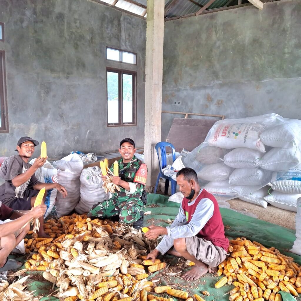 WhatsApp Image 2026-03-11 at 16.48.50